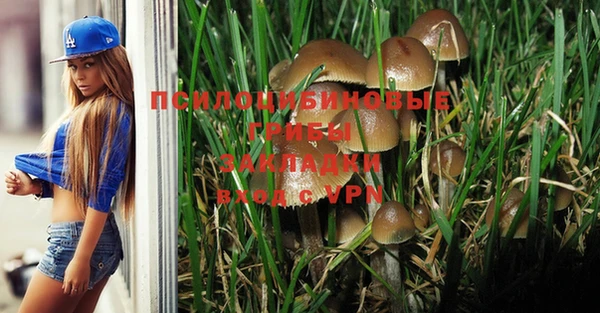 ПСИЛОЦИБИНОВЫЕ ГРИБЫ Верея