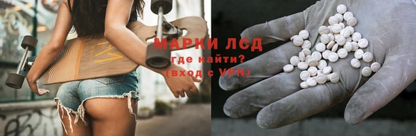 ПСИЛОЦИБИНОВЫЕ ГРИБЫ Верея