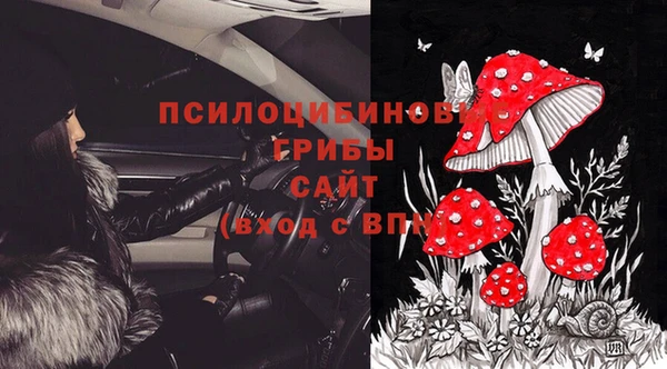 герыч Верхний Тагил
