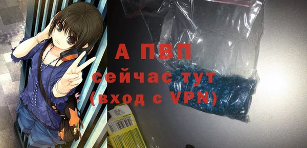 ПСИЛОЦИБИНОВЫЕ ГРИБЫ Верея