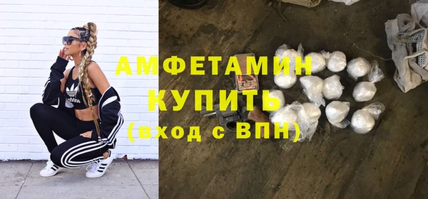 ПСИЛОЦИБИНОВЫЕ ГРИБЫ Верея