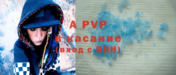 ПСИЛОЦИБИНОВЫЕ ГРИБЫ Верея