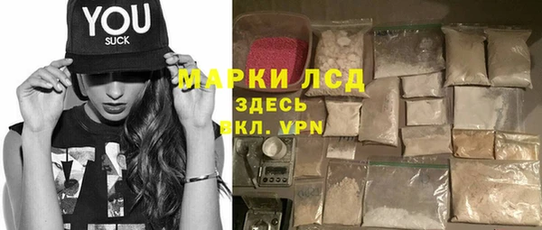 ПСИЛОЦИБИНОВЫЕ ГРИБЫ Верея